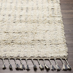 Plean Premium Rug - Clearance - Ornate Home