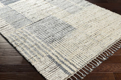 Plean Premium Rug - Clearance - Ornate Home