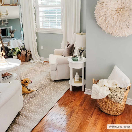 Pointblank Tan Leopard Print Rug - Ornate Home