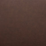 Pola Brown Dining Chair (Set of 2)