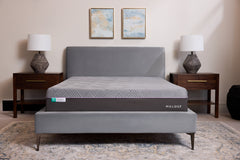 Polaris AeroFlex Gray Queen Mattress - Ornate Home