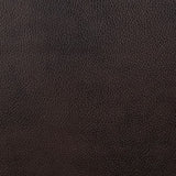 Pondera Dark Brown Recliner - Ornate Home