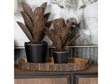 Ponderosa Brown Trays - Ornate Home