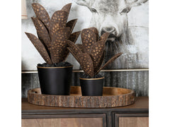 Ponderosa Brown Trays - Ornate Home