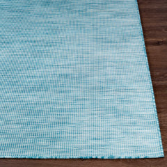 Ponemah Outdoor Area Rug - Clearance - Ornate Home