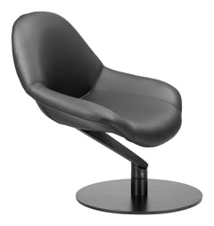 Poole Black Accent Chair - Ornate Home