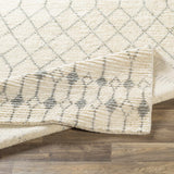 Pooleville Area Rug - Clearance - Ornate Home