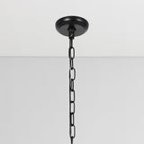 Poppy Black Chandelier - Ornate Home