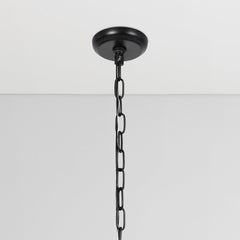 Poppy Black Chandelier - Ornate Home