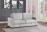 Price Gray Sofa with Pull-out Bed - Ornate Home