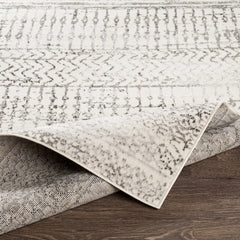Priston Area Rug - Ornate Home