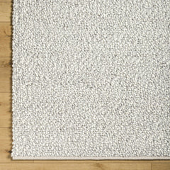 Priya Area Rug - Clearance - Ornate Home