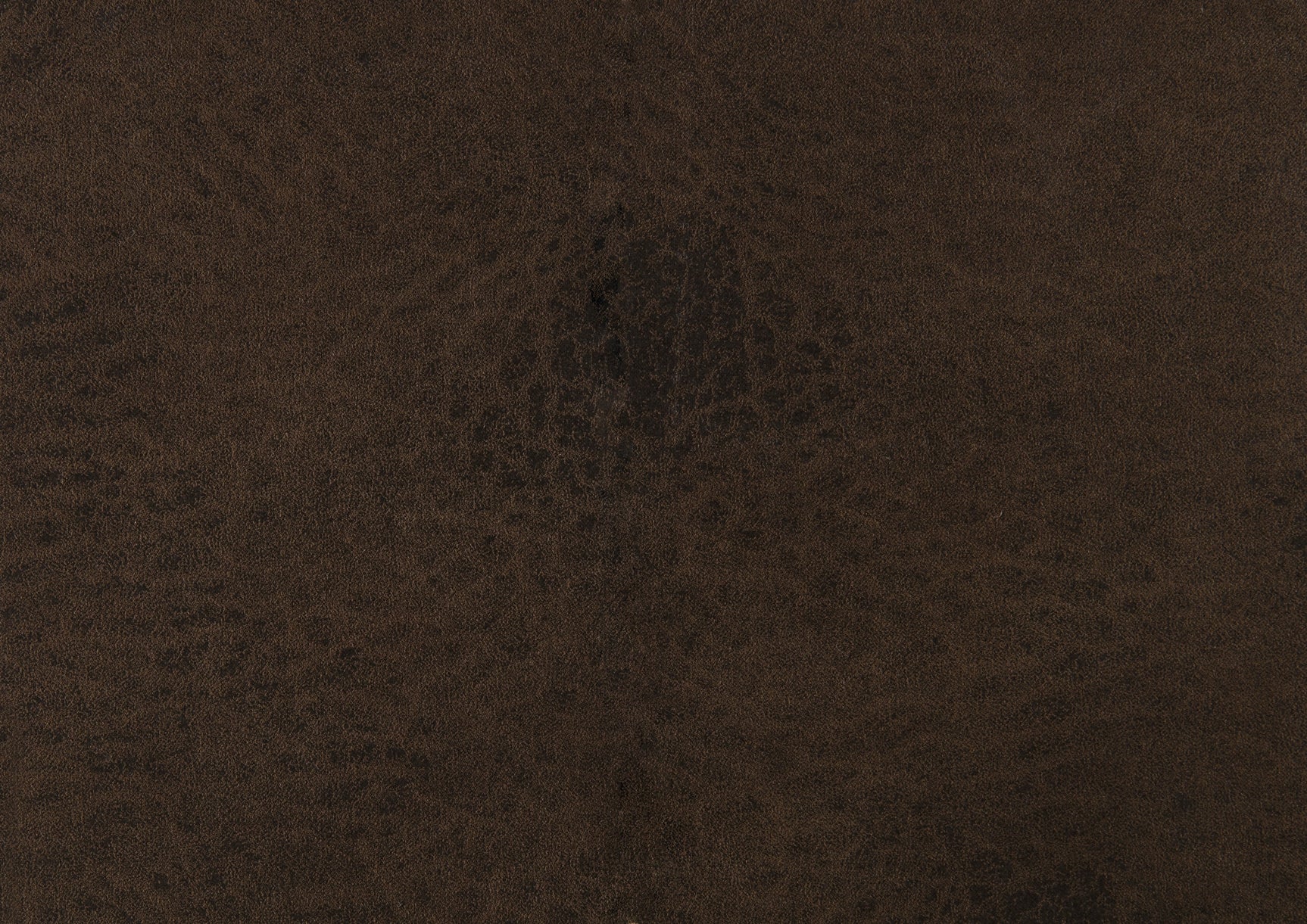 Proctor Brown Double Reclining Loveseat - Ornate Home