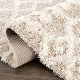 Prompton Cream Plush Area Rug - Ornate Home