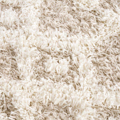 Prompton Cream Plush Area Rug - Ornate Home