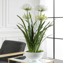 Purity Agapanthus White Centerpiece - Ornate Home