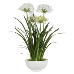 Purity Agapanthus White Centerpiece - Ornate Home