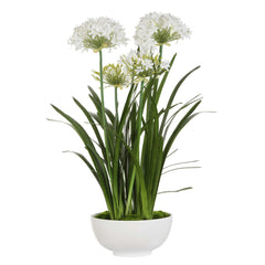 Purity Agapanthus White Centerpiece - Ornate Home