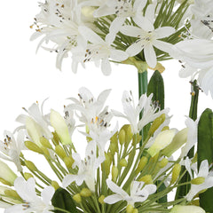 Purity Agapanthus White Centerpiece - Ornate Home
