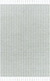 Anelia Sage Area Rug - Clearance