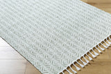 Anelia Sage Area Rug - Clearance