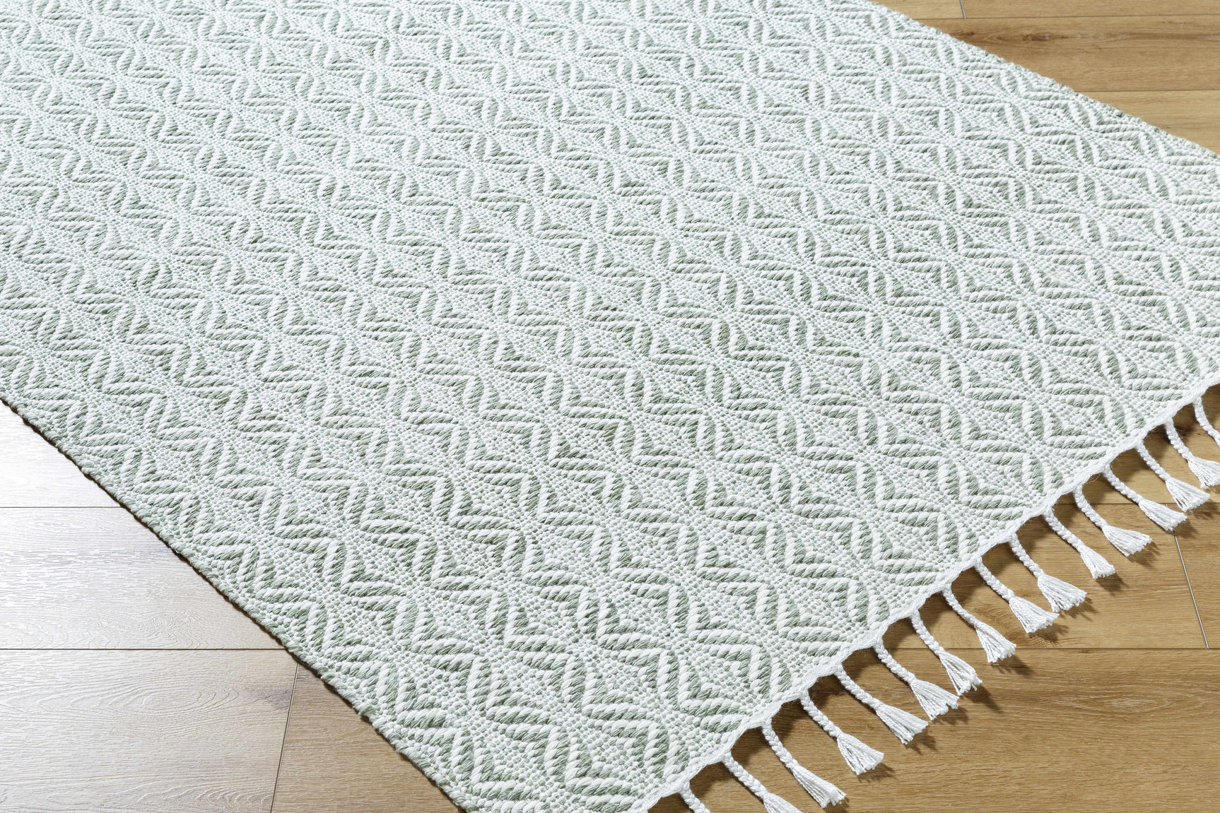 Anelia Sage Area Rug - Clearance