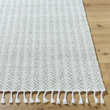 Anelia Sage Area Rug - Clearance