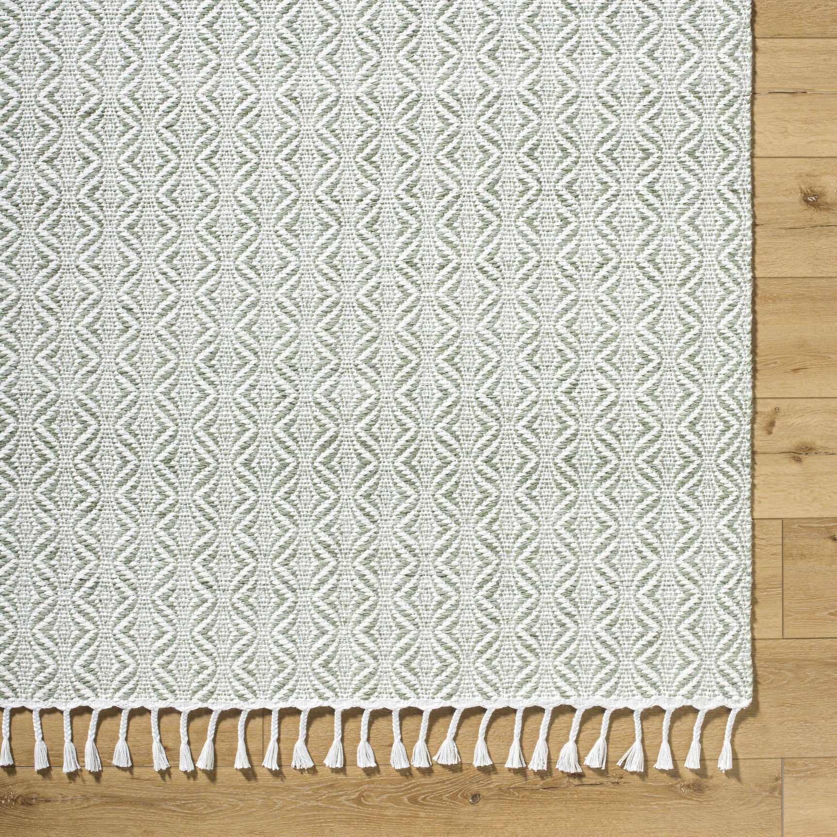Anelia Sage Area Rug - Clearance