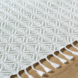 Anelia Sage Area Rug - Clearance