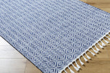 Anelia Indigo Area Rug - Clearance
