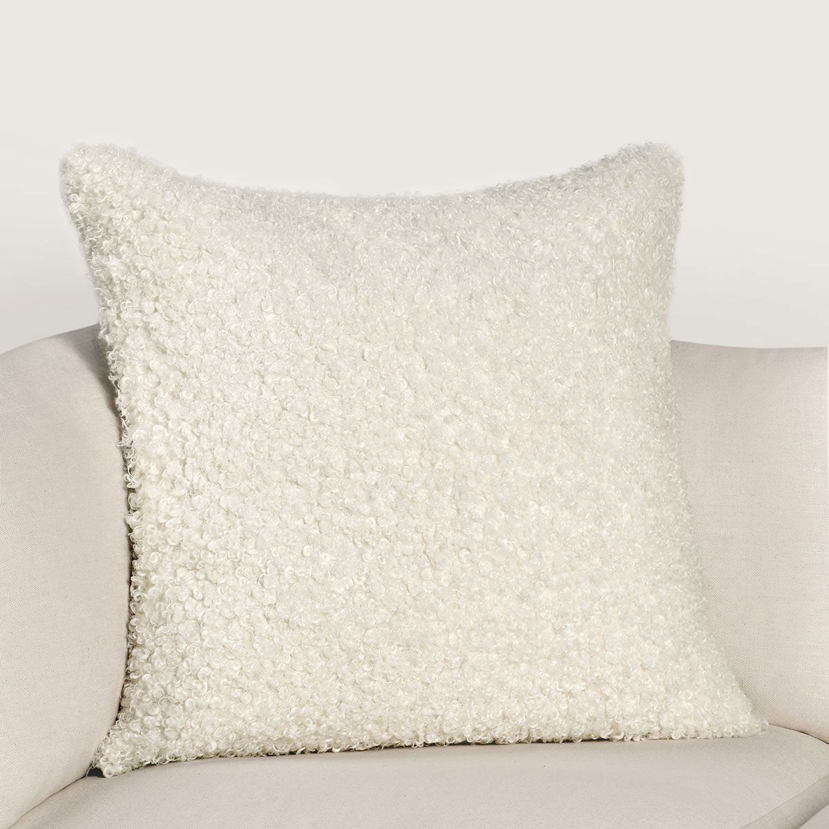 RN Carters Ivory Multiple Sizes Throw Pillow (Set of 2) (Set of 2) - Ornate Home