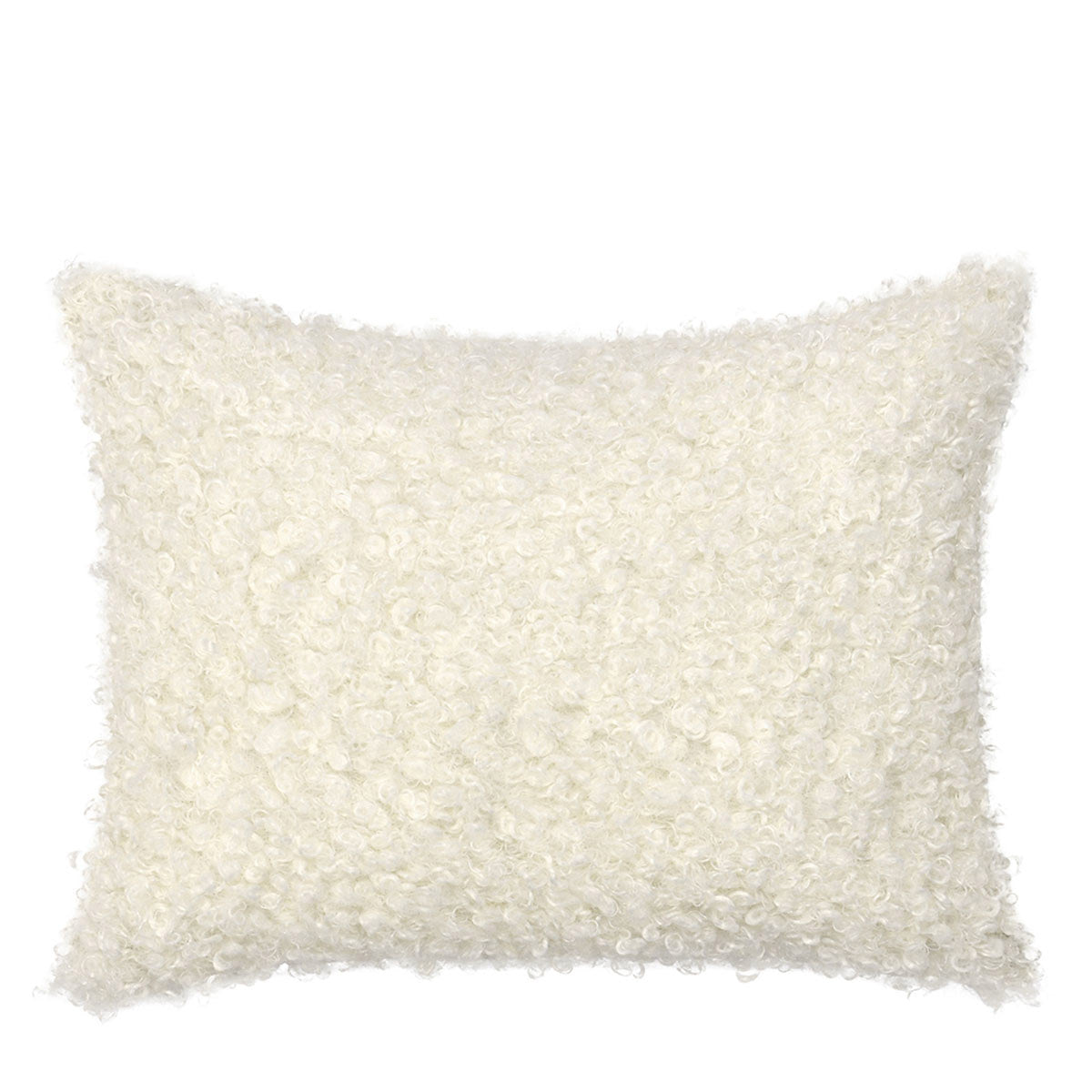 RN Carters Ivory Multiple Sizes Throw Pillow (Set of 2) (Set of 2) - Ornate Home
