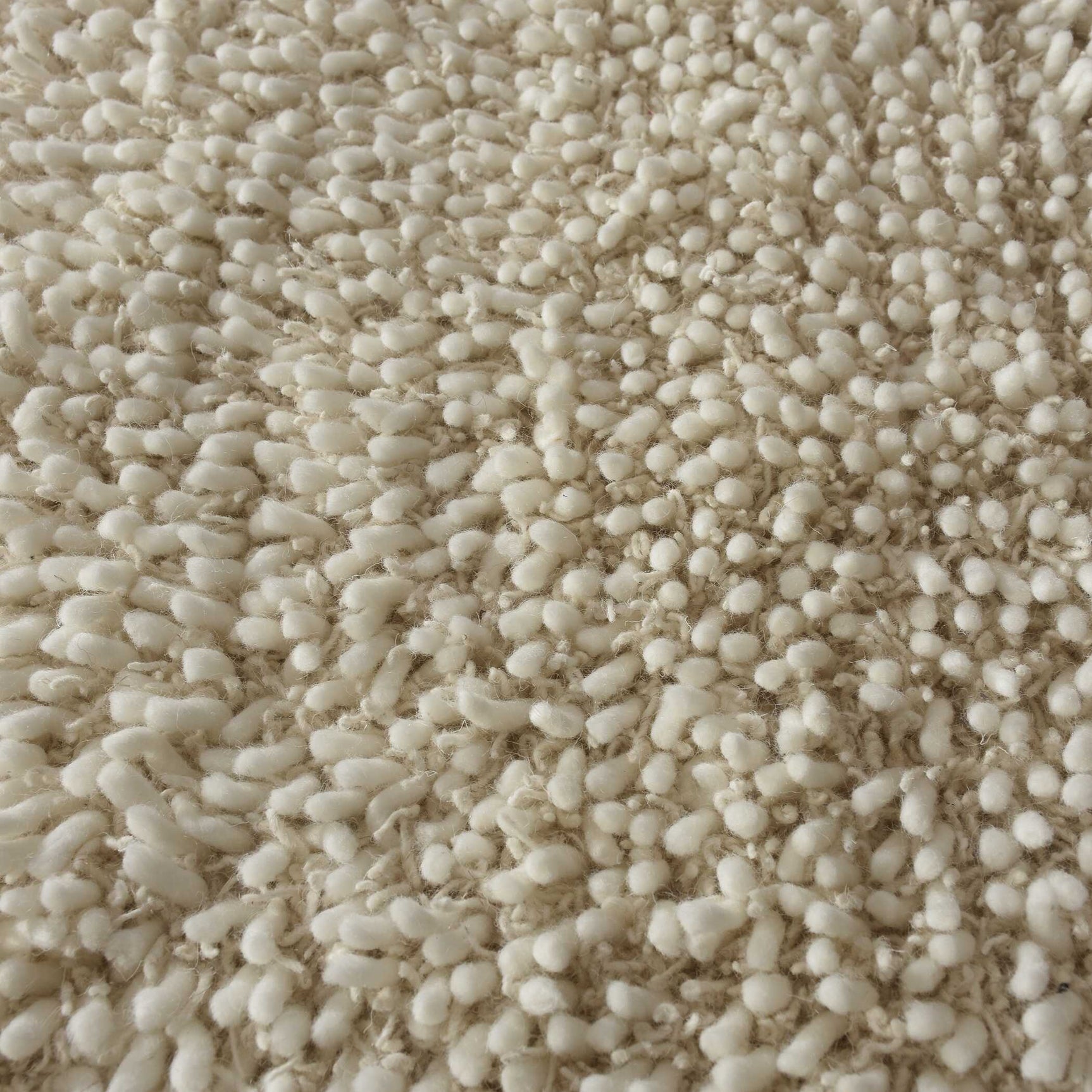 Caramont Ivory 8 X 10 Rug