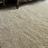 Caramont Ivory 9 X 12 Rug
