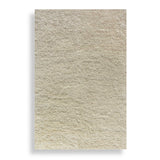 Caramont Ivory 9 X 12 Rug