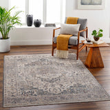 Rada Area Rug - Clearance - Ornate Home