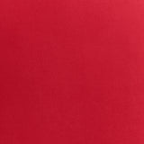Rae Lavish Red Velvet Chair - Ornate Home