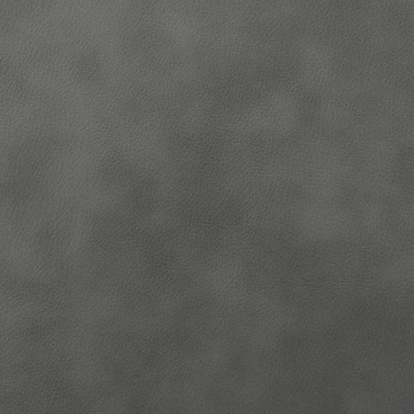 Raelynn Grey 2-piece Motion Reclining Sofa Set - Ornate Home