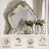 Ragenardus Mirror in Antique White - Ornate Home