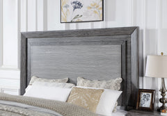 Raiden Gray 5 Pc. Queen Bedroom Set w/ 2NS - Ornate Home