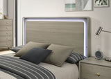 Rainier Gray E.King Bed - Ornate Home