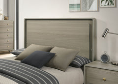 Rainier Gray Queen Bed - Ornate Home