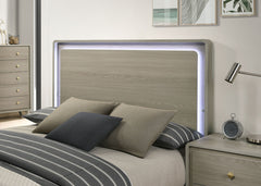 Rainier Gray Queen Bed - Ornate Home