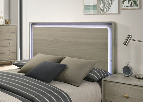 Rainier Gray Queen Bed - Ornate Home