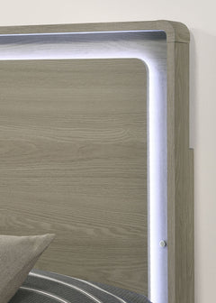 Rainier Gray Queen Bed - Ornate Home