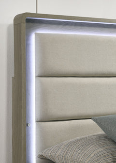 Rainier Gray Upholstered Panel Headboard E.King Bed - Ornate Home