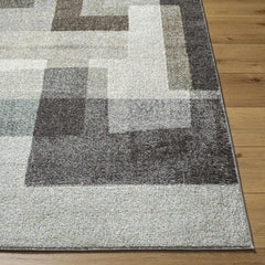 Raisa Area Rug - Clearance - Ornate Home