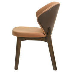 Randolph Butterscotch/Brown Dining Side Chair (Set of 2) - Ornate Home