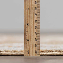 Rangeville Thick Luxe Statement Rug - Ornate Home