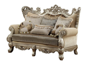 Ranita Champagne Loveseat w/6 Pillows - Ornate Home